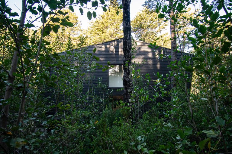 Oficina de arquitectura en Pucon construccion de casas economicas